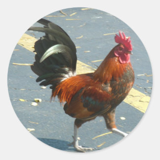 Sticker Rond Poulet occidental clé