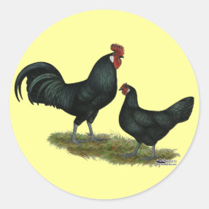 Sticker Rond Poulets Augsburger