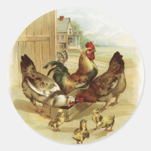 Sticker Rond Poulets de la ferme d'art vintage