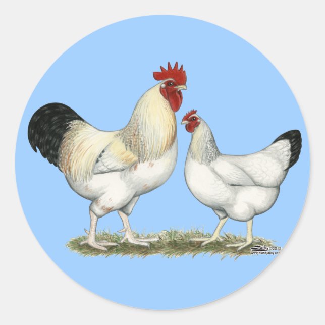 Sticker Rond Poulets de la rivière Indian (Devant)