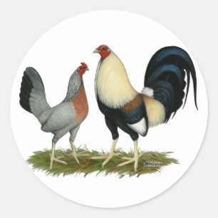 Sticker Rond Poulets d'or de Duckwing