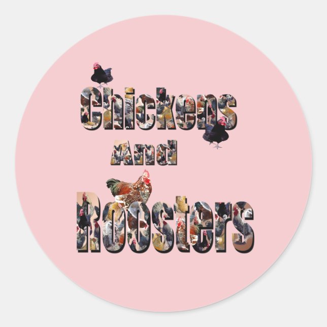 Sticker Rond Poulets Et Coqs, (Devant)