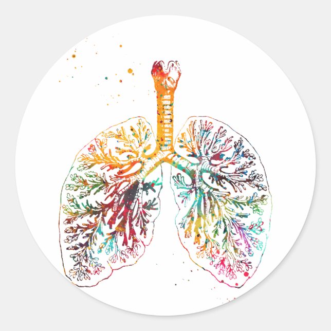 Sticker Rond Poumons anatomiques (Devant)