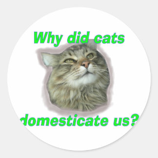 Sticker Rond Pourquoi les chats nous ont-ils domestiqués ?