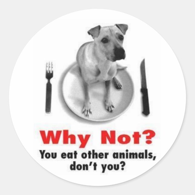 Sticker Rond Pourquoi Pas ? (Version de l'autocollant) (Devant)