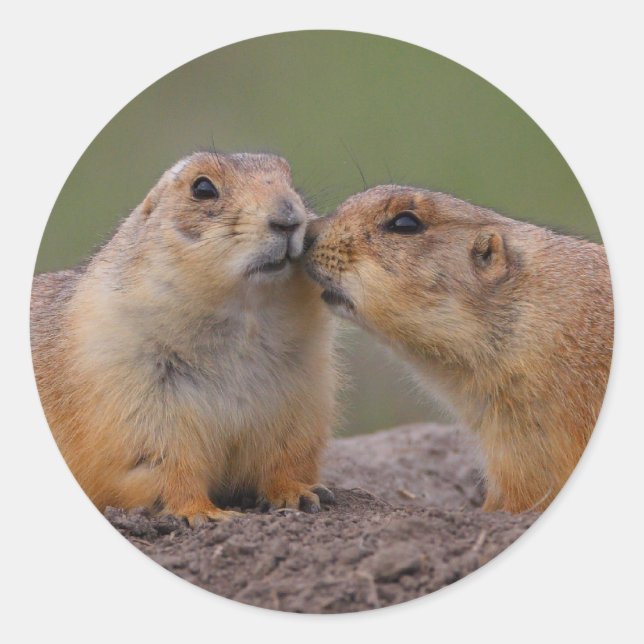 Sticker Rond prairie (Devant)