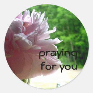 Sticker Rond Praying Pink Peony