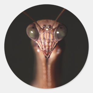 Sticker Rond praytis