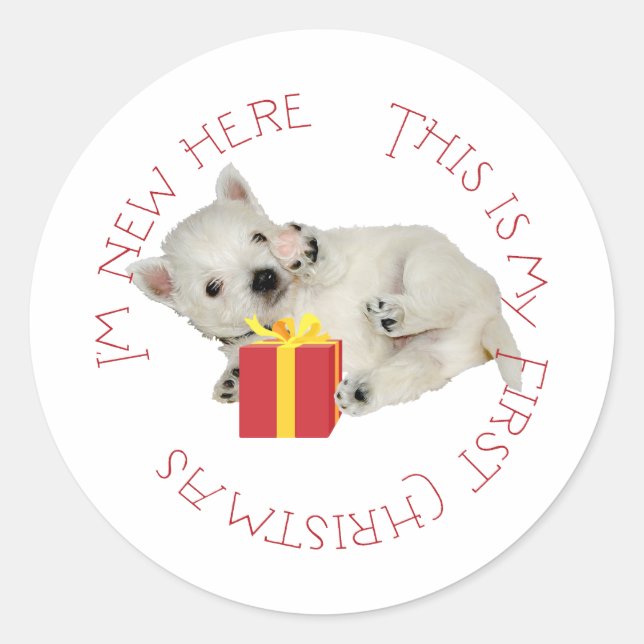 Sticker Rond Premier Noël de chiot Westie (Devant)