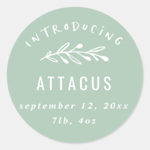 Sticker Rond Présentation du faire-part de naissance des branch