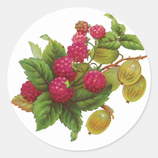 STICKER ROND PRÉSERVE DE FRUITS ROUGES / RASPBERRIES (Devant)