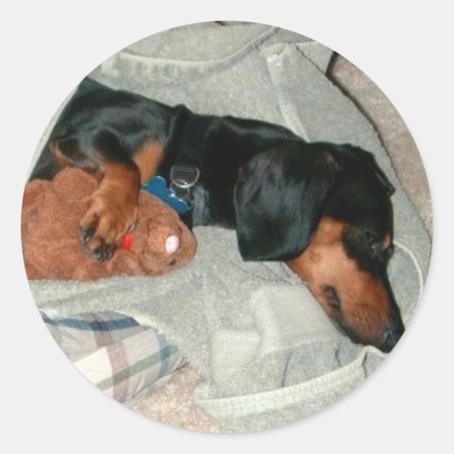 Sticker Rond Pretzel & Pal (Devant)