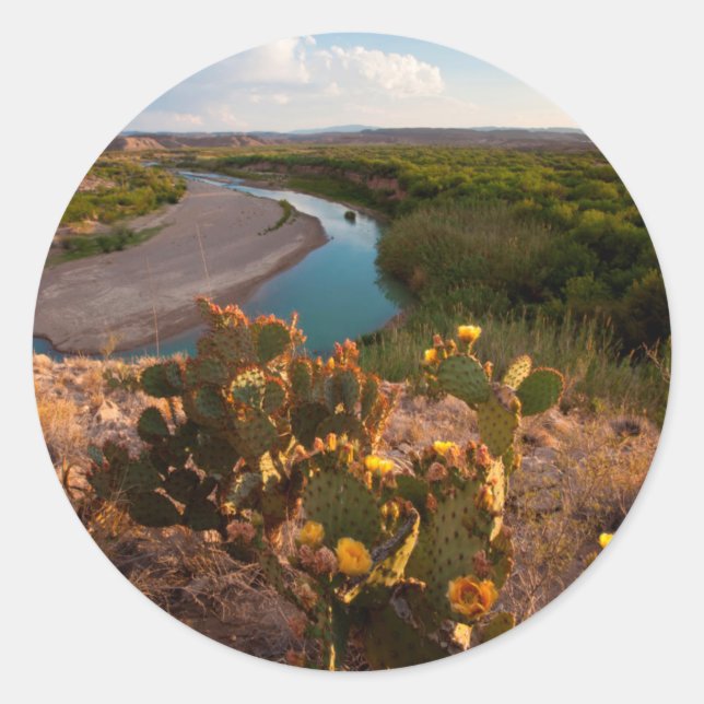 Sticker Rond Prickly Pear Cactus (Devant)