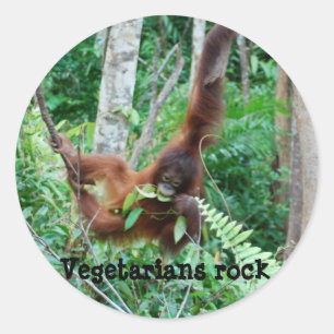 Sticker Rond Primate Vegetariens Rock!