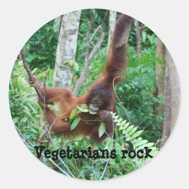 Sticker Rond Primate Vegetariens Rock! (Devant)