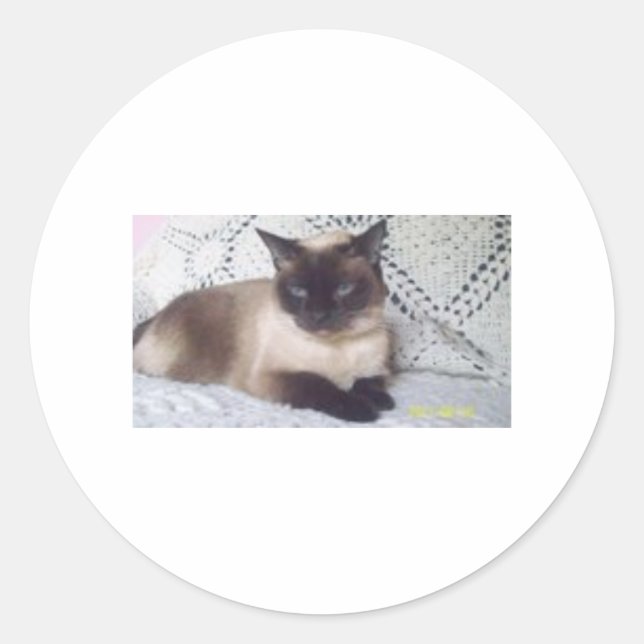 Sticker Rond Princesse (Devant)