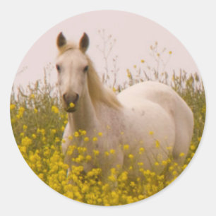 Sticker Rond Printemps