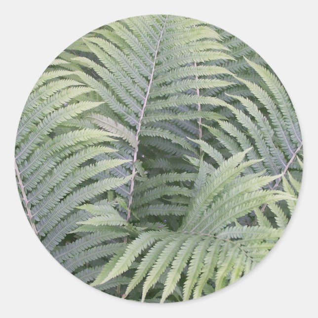 Sticker Rond Printemps Dans Le Maine (Devant)