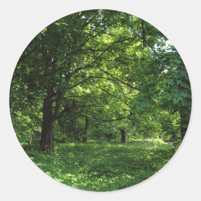 Sticker Rond Printemps dans les bois 01 (Devant)