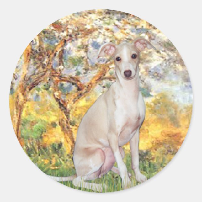 Sticker Rond Printemps - Italie Greyhound 5 (Devant)