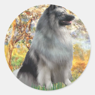 Sticker Rond Printemps - Keeshond