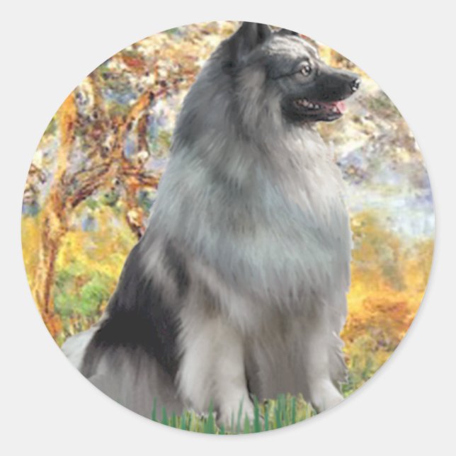 Sticker Rond Printemps - Keeshond (Devant)