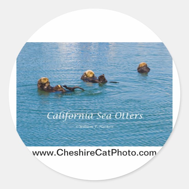 Sticker Rond Produits California Sea Otter California (Devant)