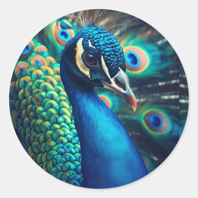 Sticker Rond Profil Peacock (Devant)