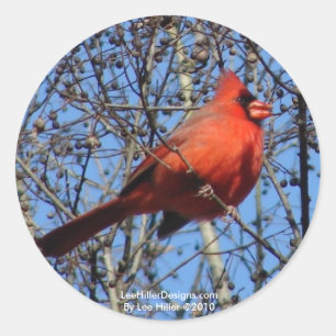 Sticker Rond Promenade de Hot Springs Mountain Cardinal Gifts