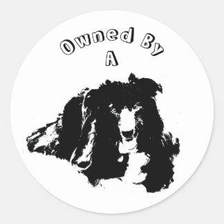 Sticker Rond Propriété D'Un Cochon Frontalier
