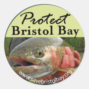 Sticker Rond Protégez l'autocollant de baie de Bristol