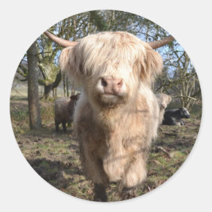 Sticker Rond Proud to be Scottish