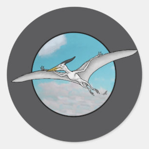 Sticker Rond Pteranodon