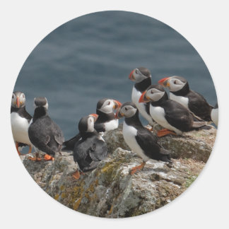 Sticker Rond Puffin