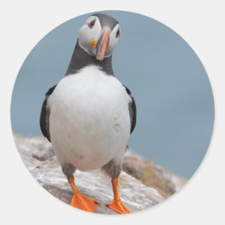 Sticker Rond Puffins de Skomer Island