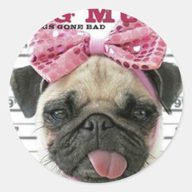 Sticker Rond Pug (Devant)