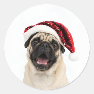 Sticker Rond Pug heureux portant un chapeau de Père Noël rouge
