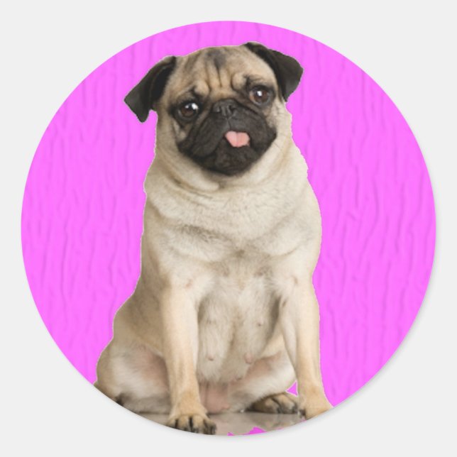 Sticker Rond Pug Queenie (Devant)