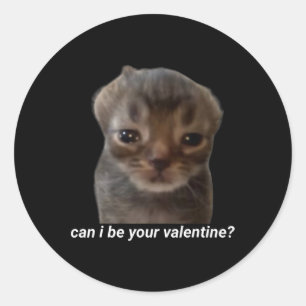 Sticker Rond Puis-je être votre Saint-Valentin Mème de chat drô