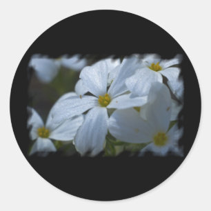 Sticker Rond Puissance de flux