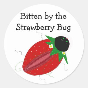 Sticker Rond Punaise de fraise