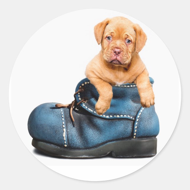 Sticker Rond Pup 'n Boots (Devant)