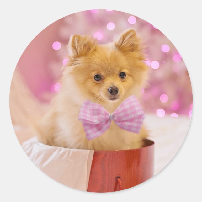 Sticker Rond Puppy de Christmas (Devant)
