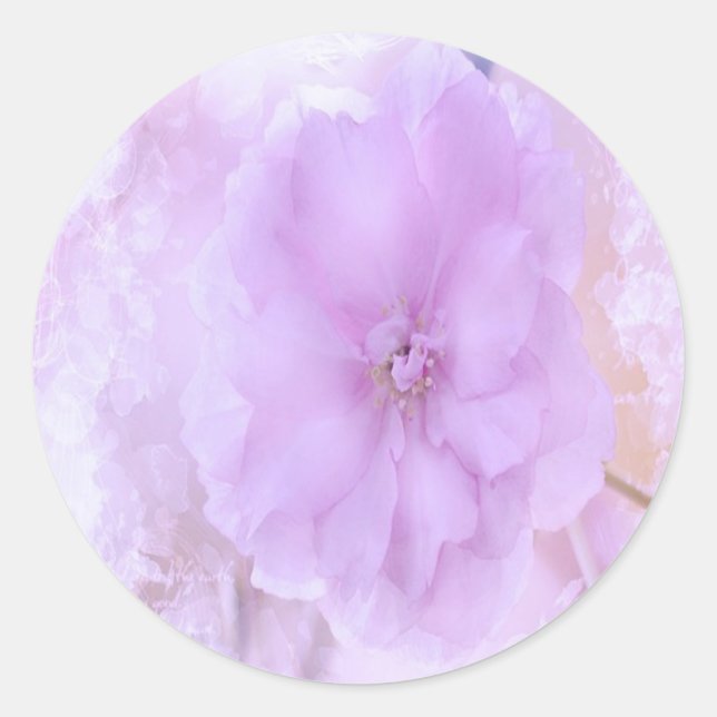 Sticker Rond Purple Pansy (Devant)