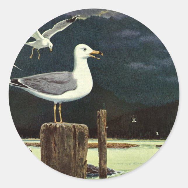Sticker Rond Quai Perché de Mouette vintage, Oiseaux marins Ani (Devant)