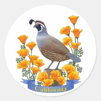 Sticker Rond Quail d'oiseaux de l'État de Californie et coqueli