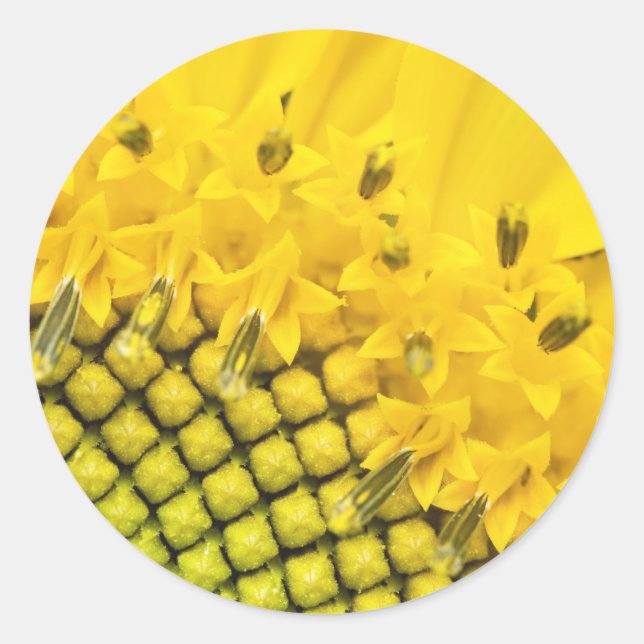 Sticker Rond quart de soleil (Devant)