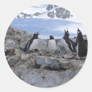 Sticker Rond Quartet de raseur-coiffeur