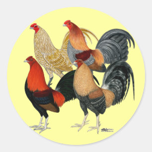Sticker Rond Quatre gamecocks