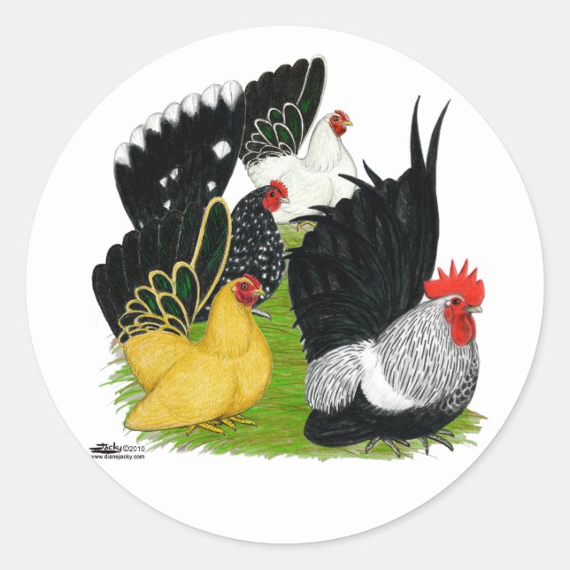 Sticker Rond Quatuor japonais Bantam (Devant)